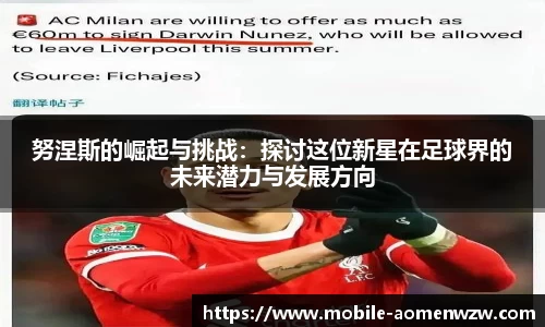 努涅斯的崛起与挑战：探讨这位新星在足球界的未来潜力与发展方向